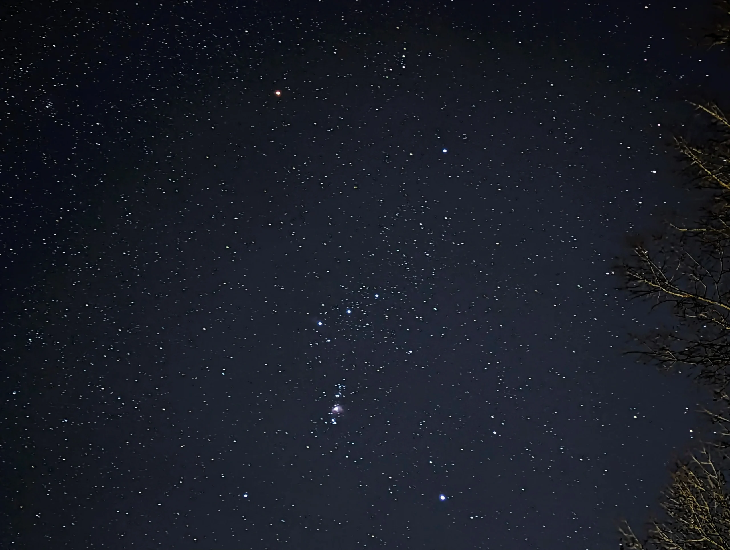 constelacion de orion