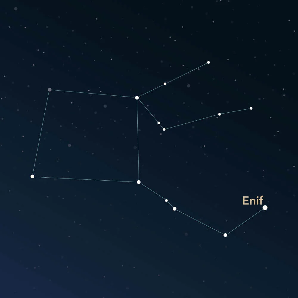 constelacion de pegaso