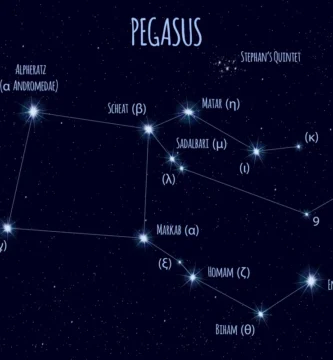 Pegaso estrellas