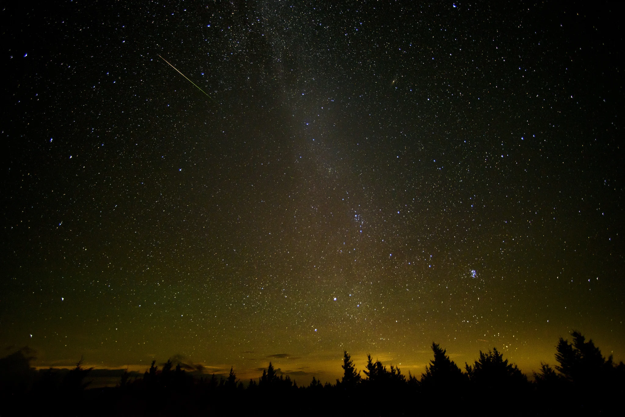 perseidas