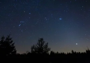 tauro estrella
