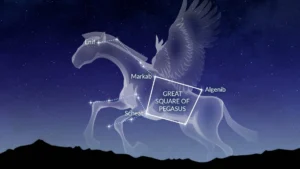 constelacion de pegaso