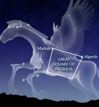 constelacion de pegaso