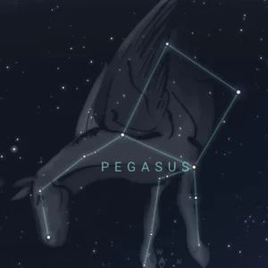 constelacion pegaso