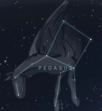 constelacion pegaso