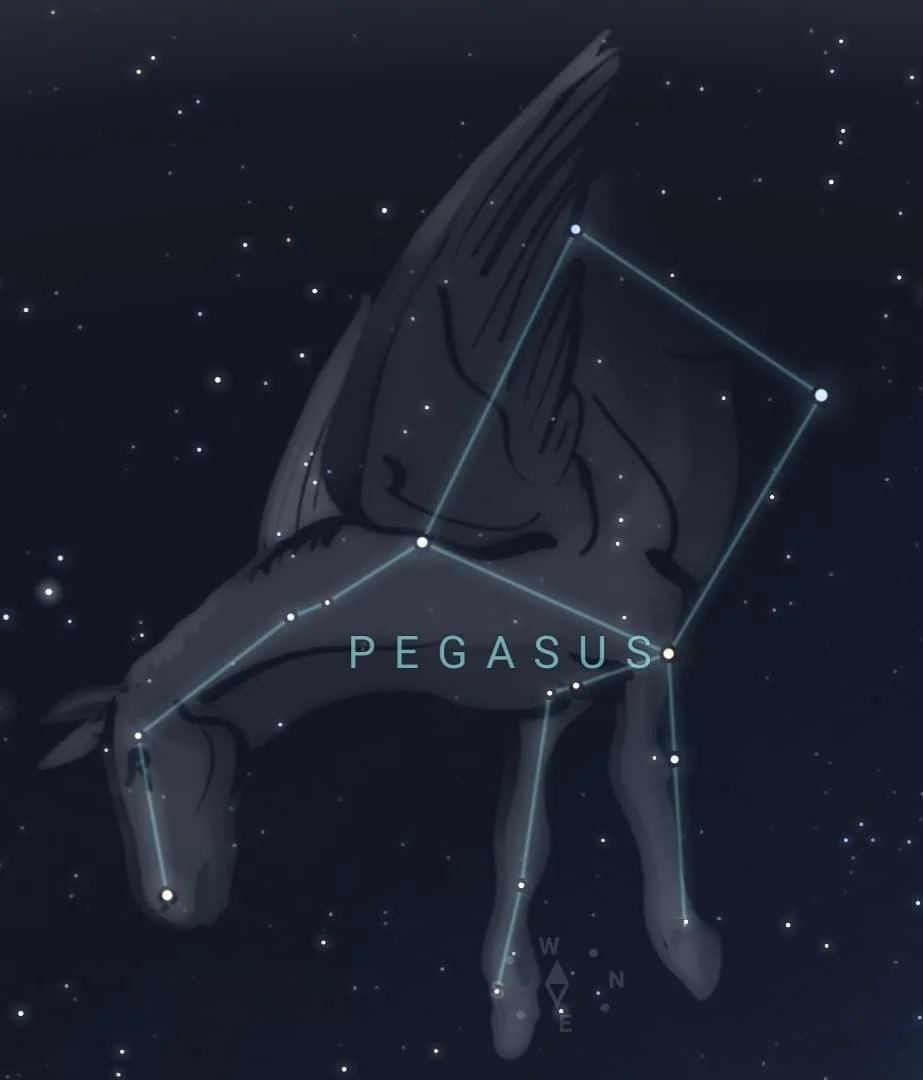 constelacion pegaso