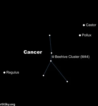 estrellas-de-cancer