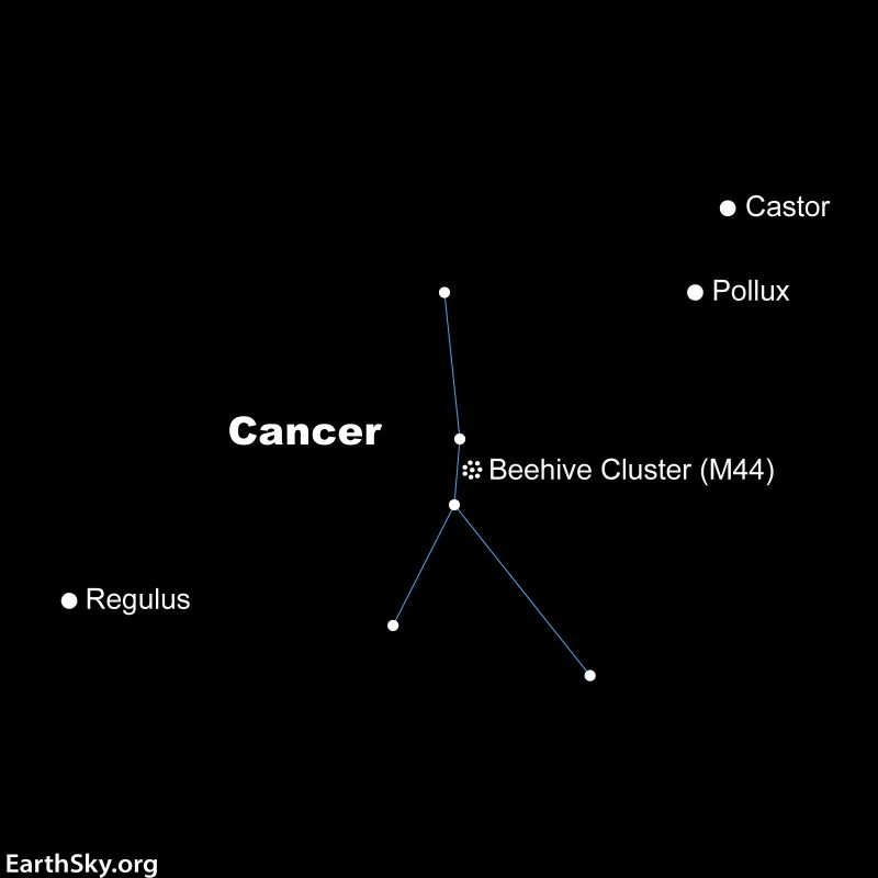 estrellas-de-cancer
