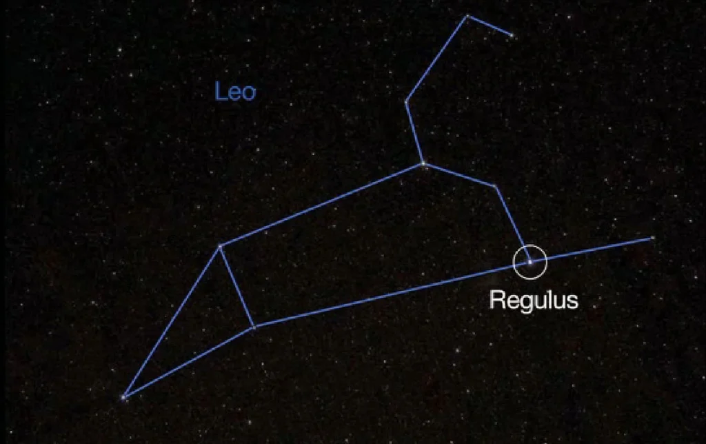 regulus