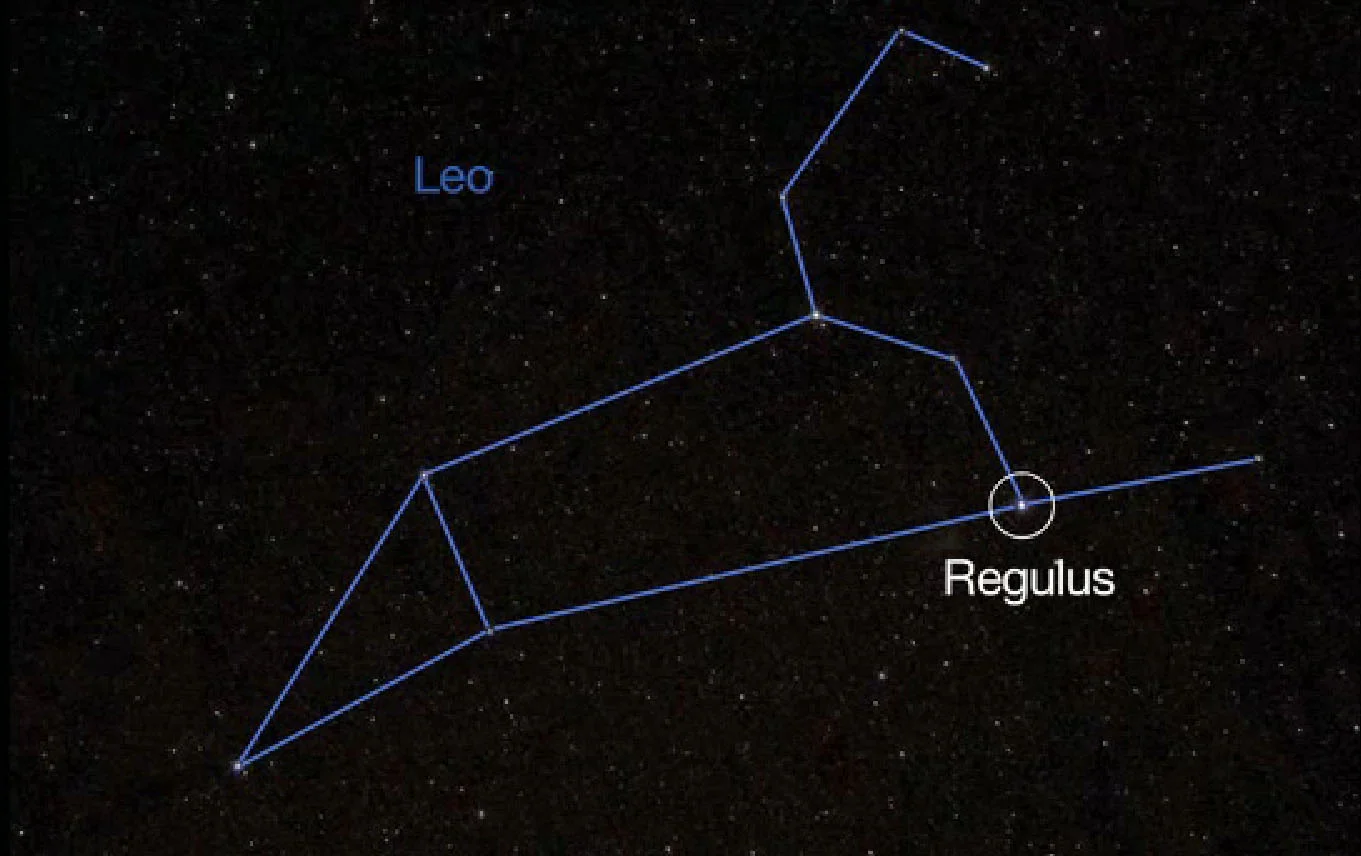 regulus
