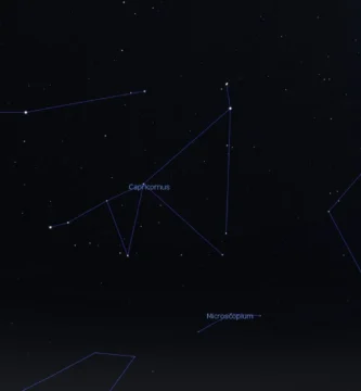 constelacion-capricornio-historia