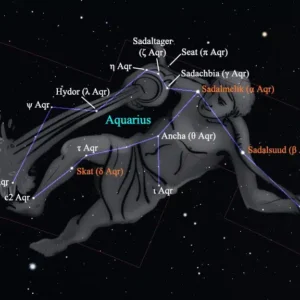 estrellas-de-acuario