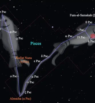 piscis-constelación-estrellas